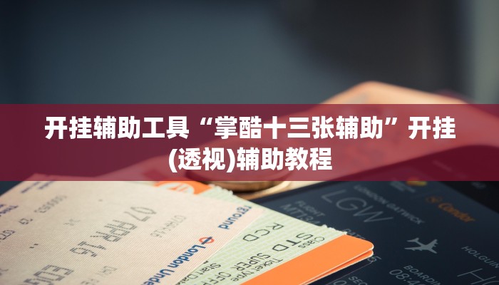 开挂辅助工具“掌酷十三张辅助”开挂(透视)辅助教程