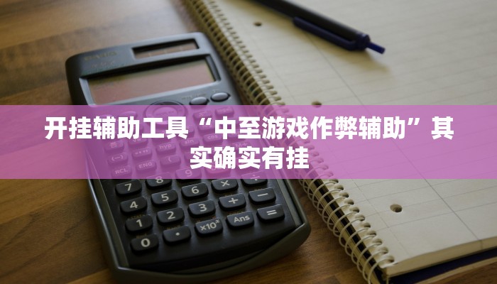 开挂辅助工具“中至游戏作弊辅助”其实确实有挂