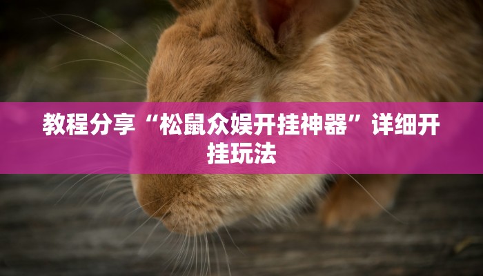 教程分享“松鼠众娱开挂神器”详细开挂玩法