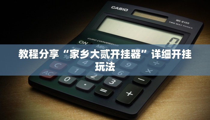 教程分享“家乡大贰开挂器”详细开挂玩法