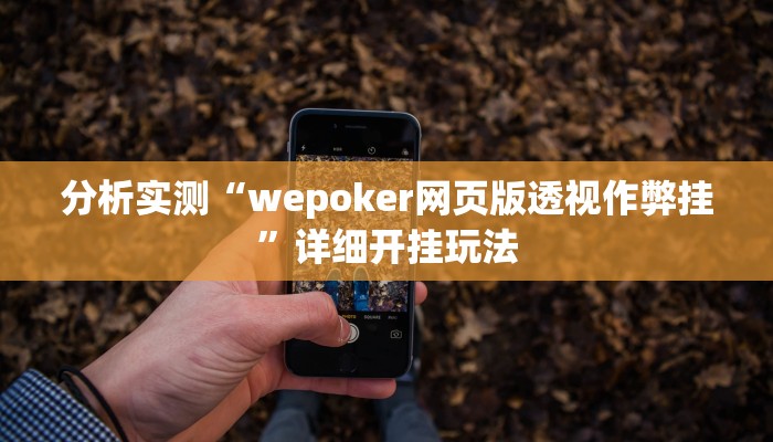 分析实测“wepoker网页版透视作弊挂”详细开挂玩法
