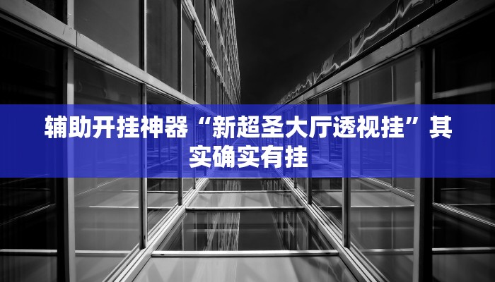 辅助开挂神器“新超圣大厅透视挂”其实确实有挂
