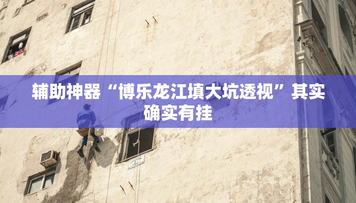 辅助神器“博乐龙江填大坑透视”其实确实有挂