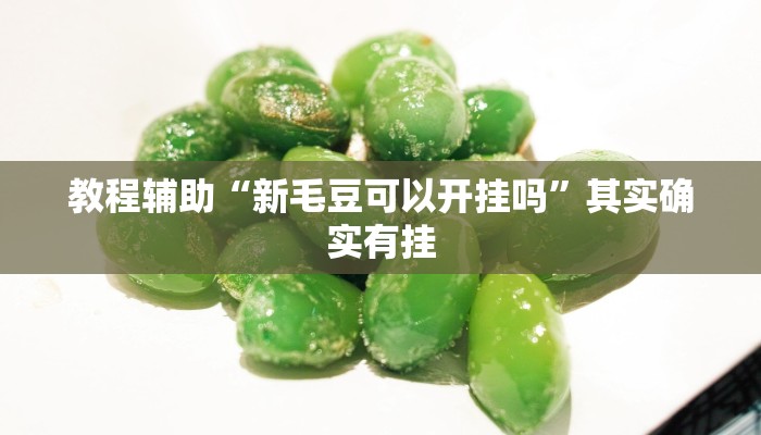 教程辅助“新毛豆可以开挂吗”其实确实有挂 教程辅助“新毛豆可以开挂吗”其实确实有挂
