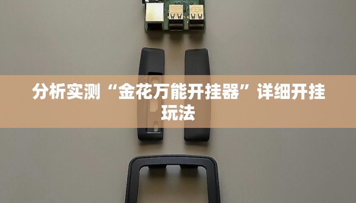 分析实测“金花万能开挂器”详细开挂玩法