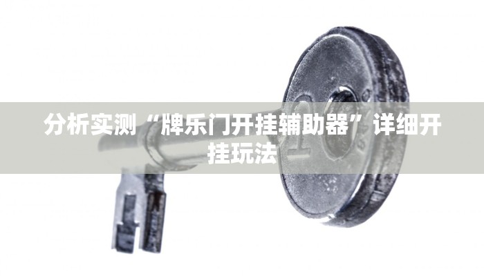 分析实测“牌乐门开挂辅助器”详细开挂玩法 分析实测“牌乐门开挂辅助器”详细开挂玩法