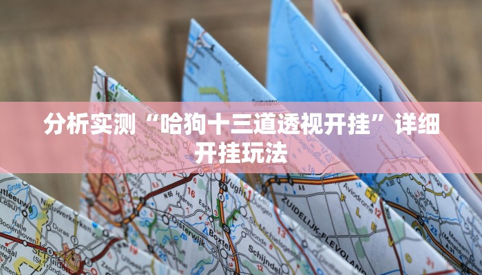 分析实测“哈狗十三道透视开挂”详细开挂玩法 分析实测“哈狗十三道透视开挂”详细开挂玩法