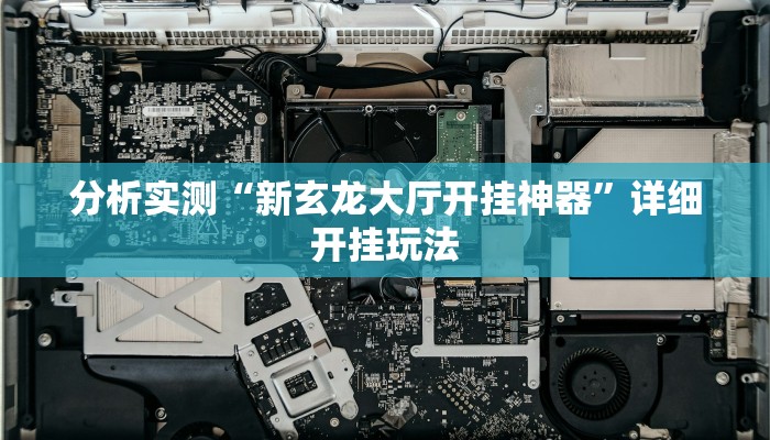 分析实测“新玄龙大厅开挂神器”详细开挂玩法