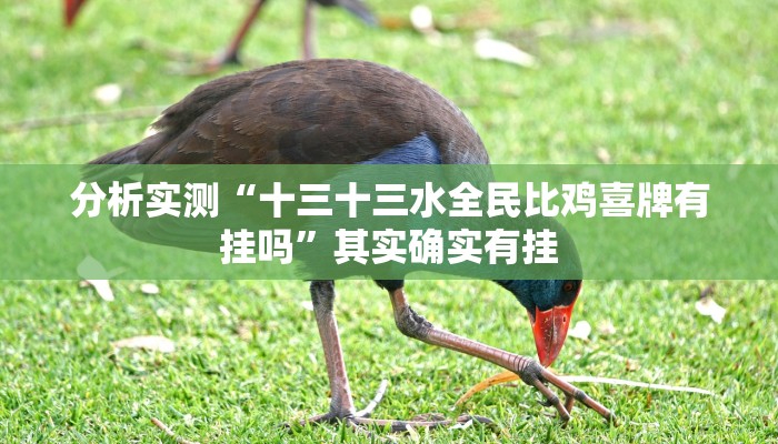 分析实测“十三十三水全民比鸡喜牌有挂吗”其实确实有挂