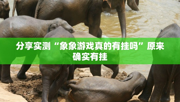 分享实测“象象游戏真的有挂吗”原来确实有挂 分享实测“象象游戏真的有挂吗”原来确实有挂