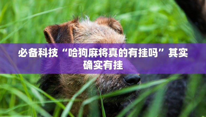 必备科技“哈狗麻将真的有挂吗”其实确实有挂