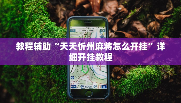 教程辅助“天天忻州麻将怎么开挂”详细开挂教程