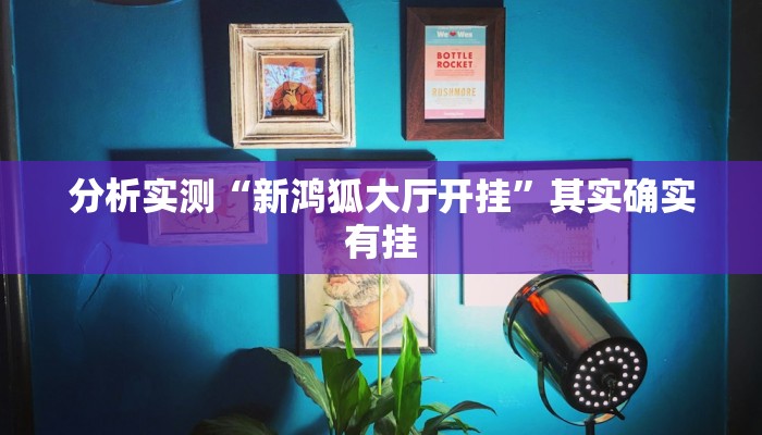 分析实测“新鸿狐大厅开挂”其实确实有挂