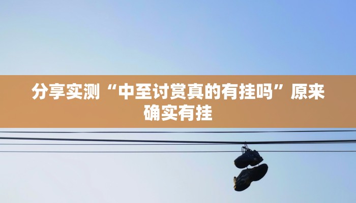 分享实测“中至讨赏真的有挂吗”原来确实有挂