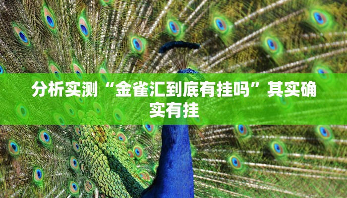 辅助神器“开心十三张有挂吗怎么安装”其实确实有挂