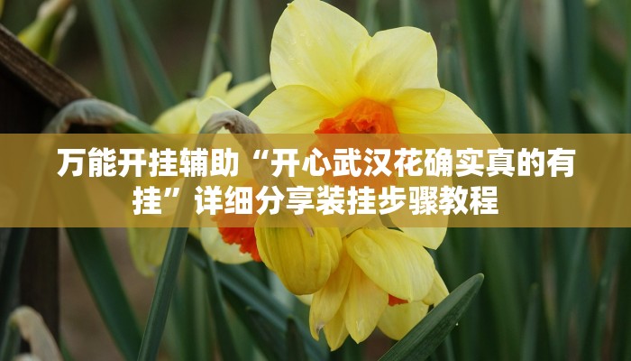 万能开挂辅助“开心武汉花确实真的有挂”详细分享装挂步骤教程