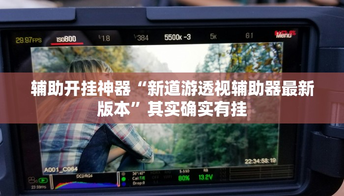 辅助开挂神器“新道游透视辅助器最新版本”其实确实有挂