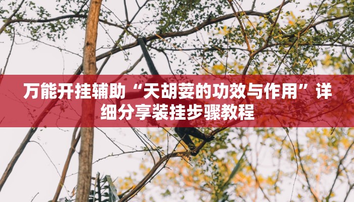 万能开挂辅助“天胡荽的功效与作用”详细分享装挂步骤教程
