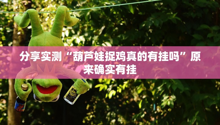 分享实测“葫芦娃捉鸡真的有挂吗”原来确实有挂 分享实测“葫芦娃捉鸡真的有挂吗”原来确实有挂