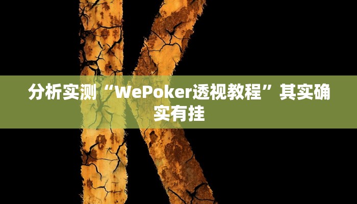 分析实测“WePoker透视教程”其实确实有挂