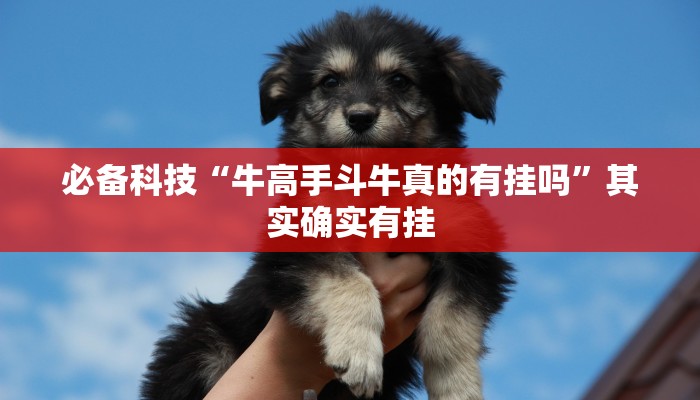 必备科技“牛高手斗牛真的有挂吗”其实确实有挂 必备科技“牛高手斗牛真的有挂吗”其实确实有挂