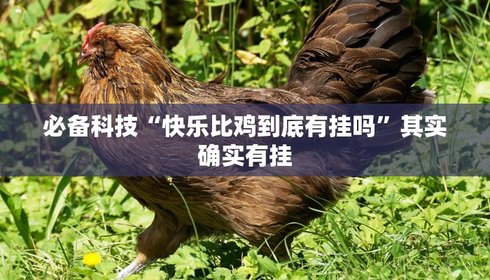 必备科技“快乐比鸡到底有挂吗”其实确实有挂 必备科技“快乐比鸡到底有挂吗”其实确实有挂