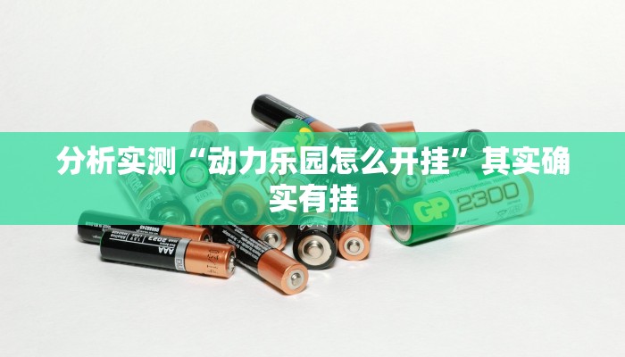 分析实测“动力乐园怎么开挂”其实确实有挂