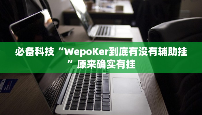 必备科技“WepoKer到底有没有辅助挂”原来确实有挂 必备科技“WepoKer到底有没有辅助挂”原来确实有挂