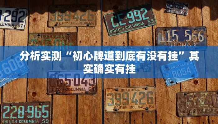 分析实测“初心牌道到底有没有挂”其实确实有挂
