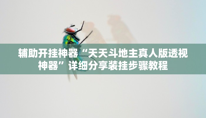 辅助开挂神器“天天斗地主真人版透视神器”详细分享装挂步骤教程