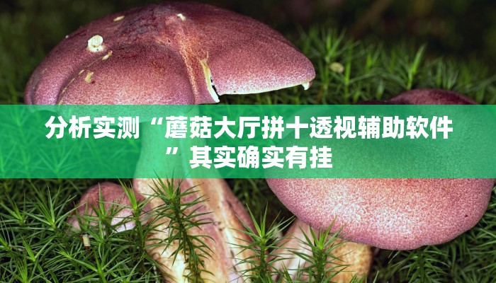 分析实测“蘑菇大厅拼十透视辅助软件”其实确实有挂 分析实测“蘑菇大厅拼十透视辅助软件”其实确实有挂