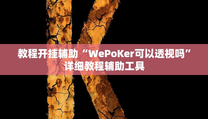 教程开挂辅助“WePoKer可以透视吗”详细教程辅助工具