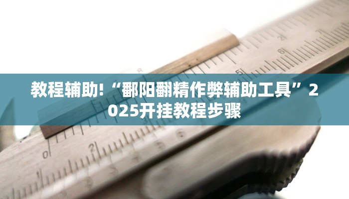 教程辅助!“鄱阳翻精作弊辅助工具”2025开挂教程步骤