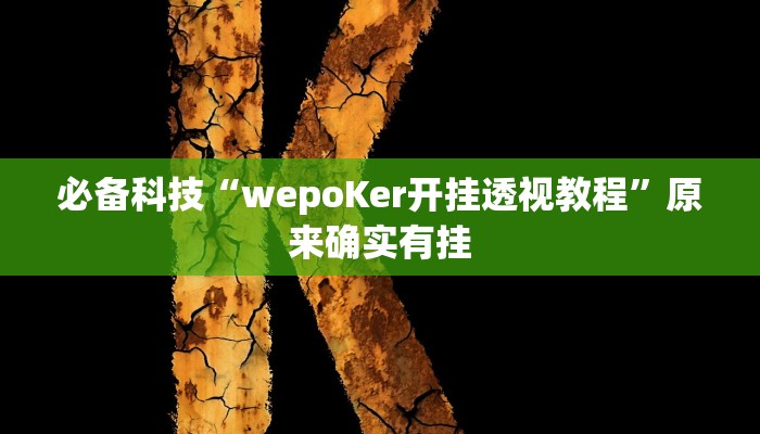 必备科技“wepoKer开挂透视教程”原来确实有挂