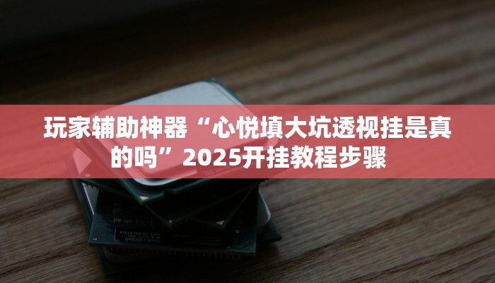 玩家辅助神器“心悦填大坑透视挂是真的吗”2025开挂教程步骤