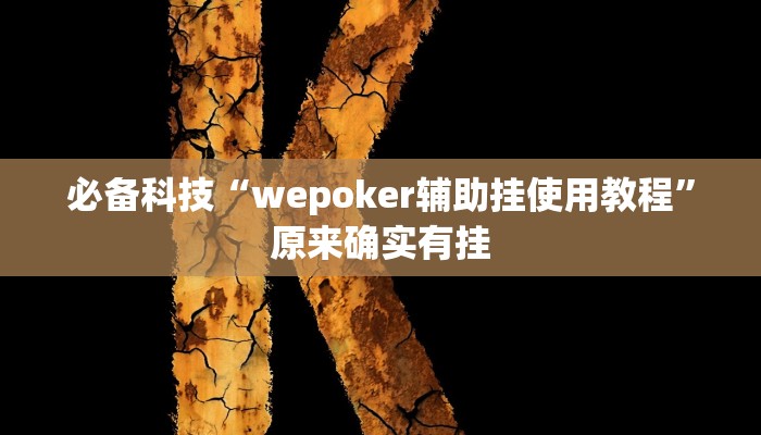必备科技“wepoker辅助挂使用教程”原来确实有挂