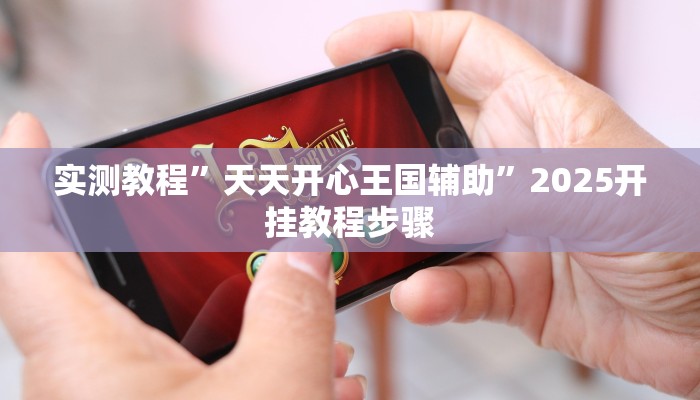 实测教程”天天开心王国辅助”2025开挂教程步骤